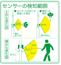 ライト3.png
